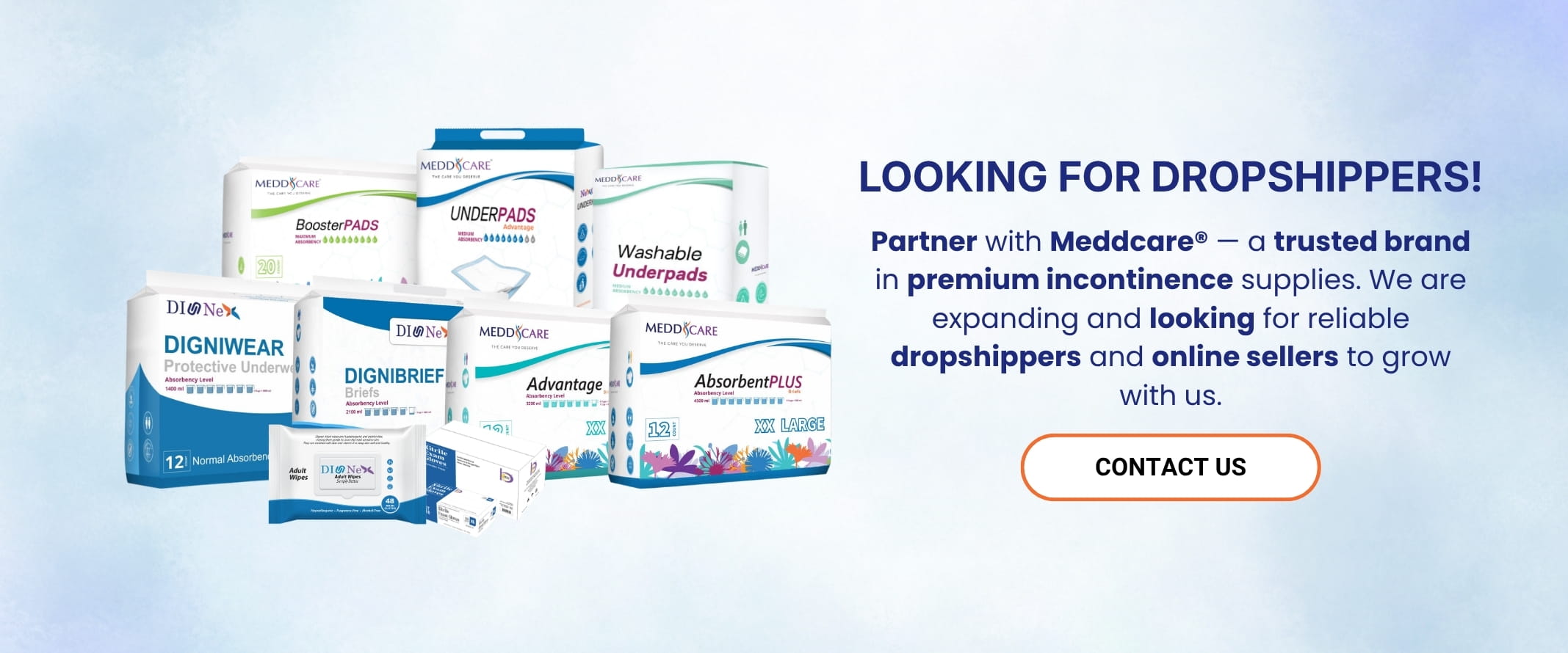 looking for dropshipper web banner